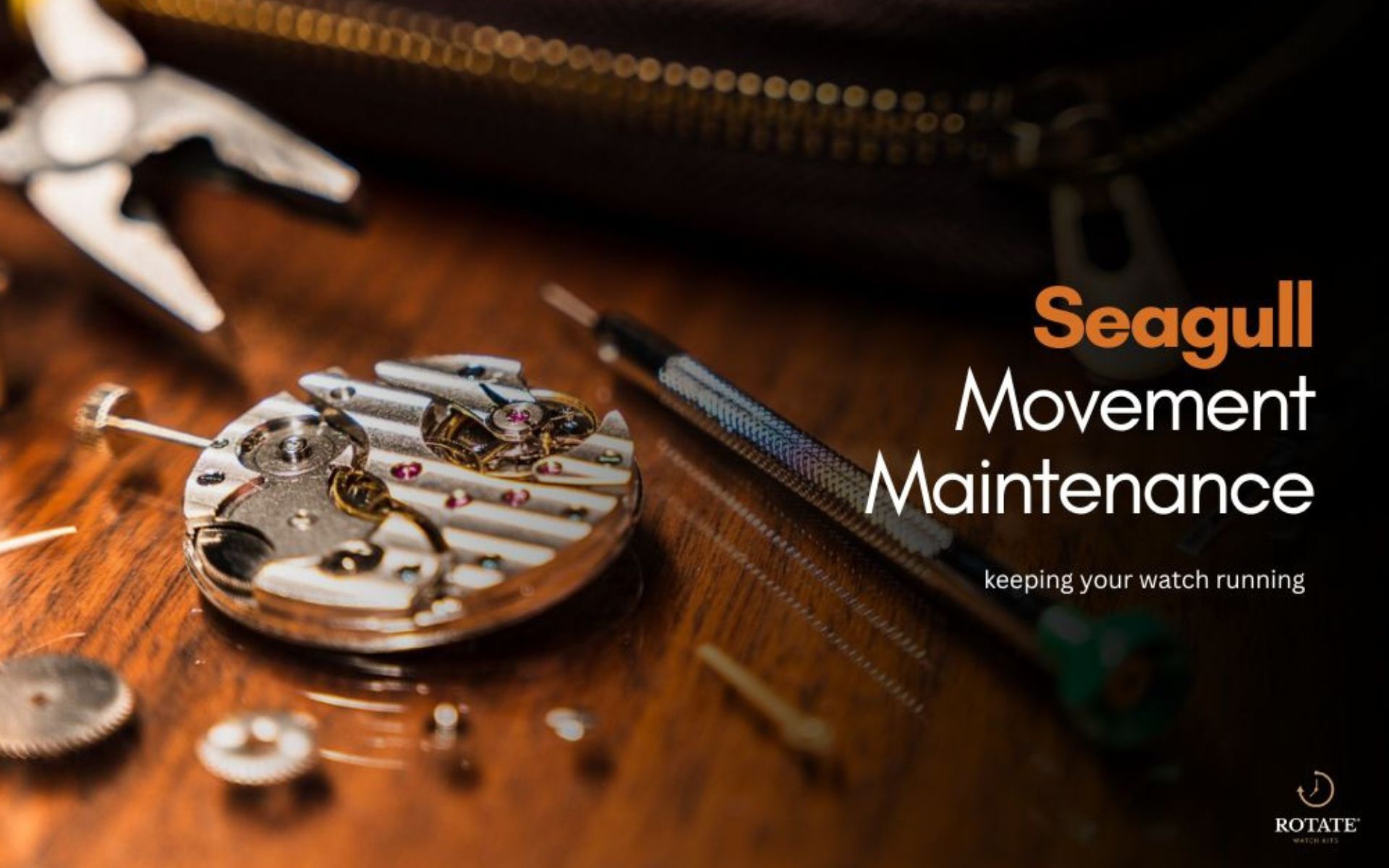 Seagull Movement Maintenance