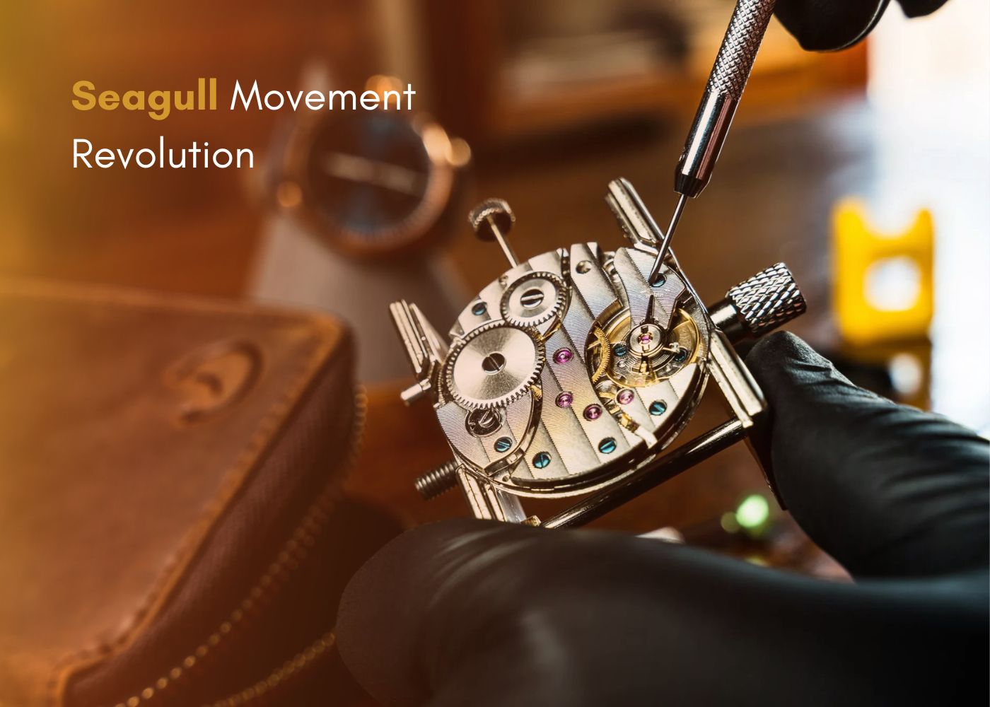 Seagull Movement Revolution