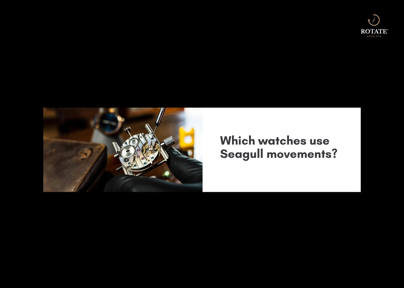 Which watches use Seagull movements?